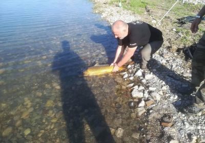 31265604 180859486067760 7956523715812917248 n