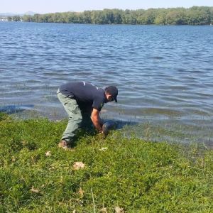 31289201 180903659396676 3547486920269365248 n