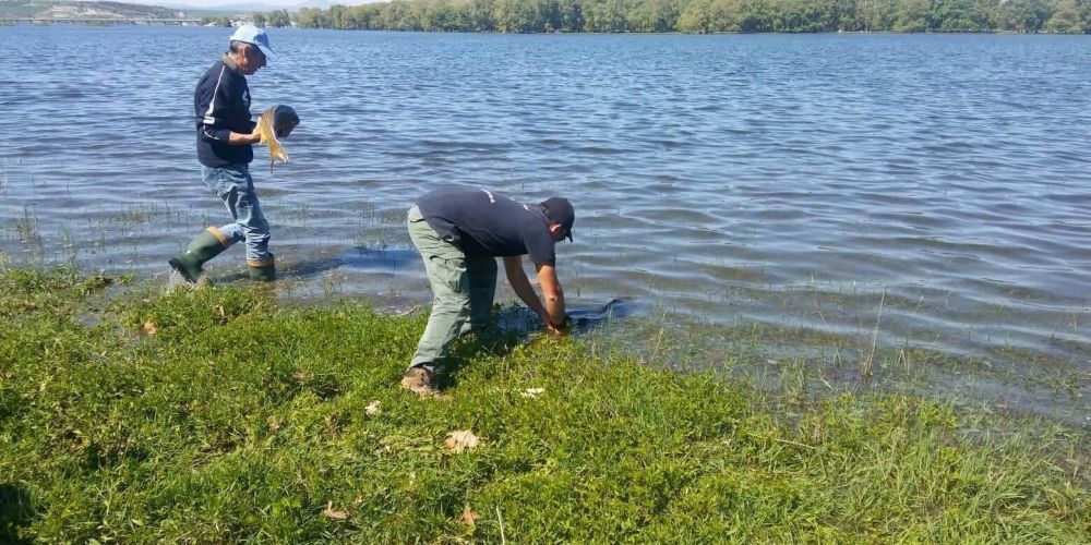 31290264 180903516063357 3584103423433244672 n