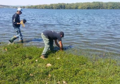 31290264 180903516063357 3584103423433244672 n