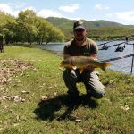 31292723 182467759240266 1596750256605757440 n