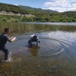 31292781 180860879400954 1905282097057103872 n