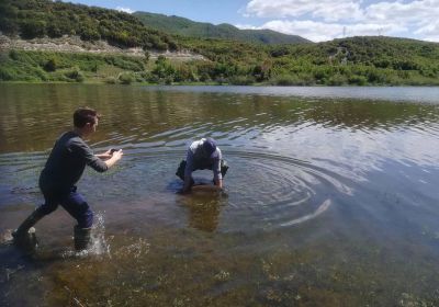 31292781 180860879400954 1905282097057103872 n