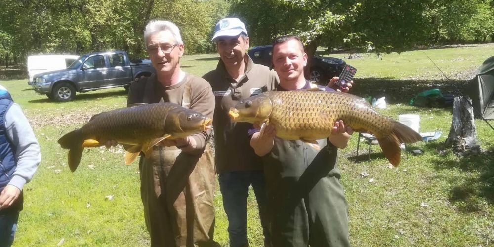 31295678 180861646067544 2332055946240458752 n