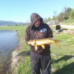 31306982 180895016064207 2763840841142239232 n