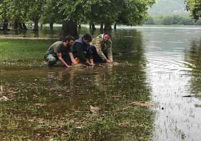 31466809 2412843782074415 2149017095028535059 n