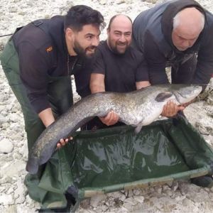 247068263 252633670215637 1661149546609909940 n