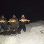 247624901 208224918060865 3734545640631537595 n