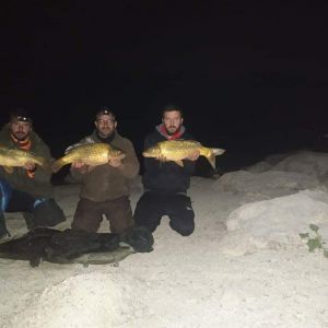 247624901 208224918060865 3734545640631537595 n