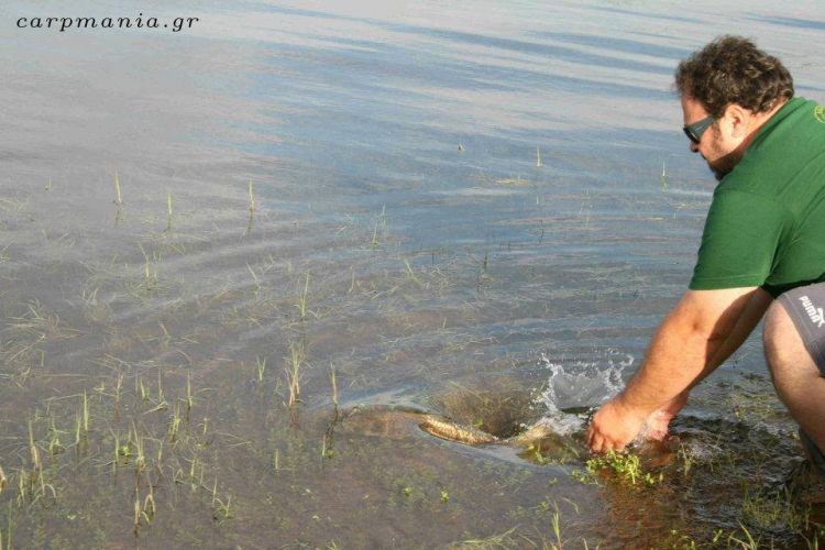 13000343 1372581519433985 4327316463009890264 n