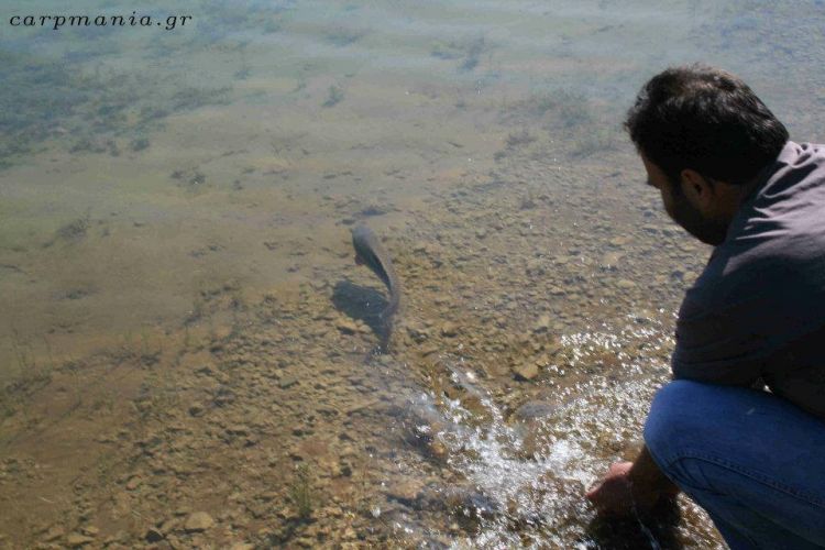 13043646 1372581256100678 5293809753612320126 n