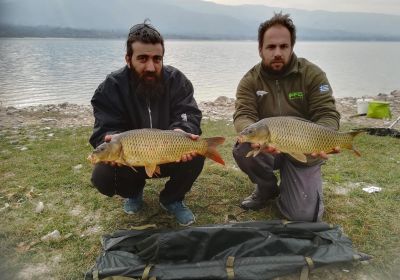 44512427 311329349687439 7608353952899268608 n