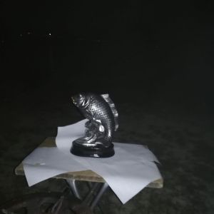 44526594 311339693019738 4748455901894017024 n