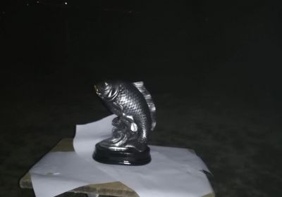 44526594 311339693019738 4748455901894017024 n