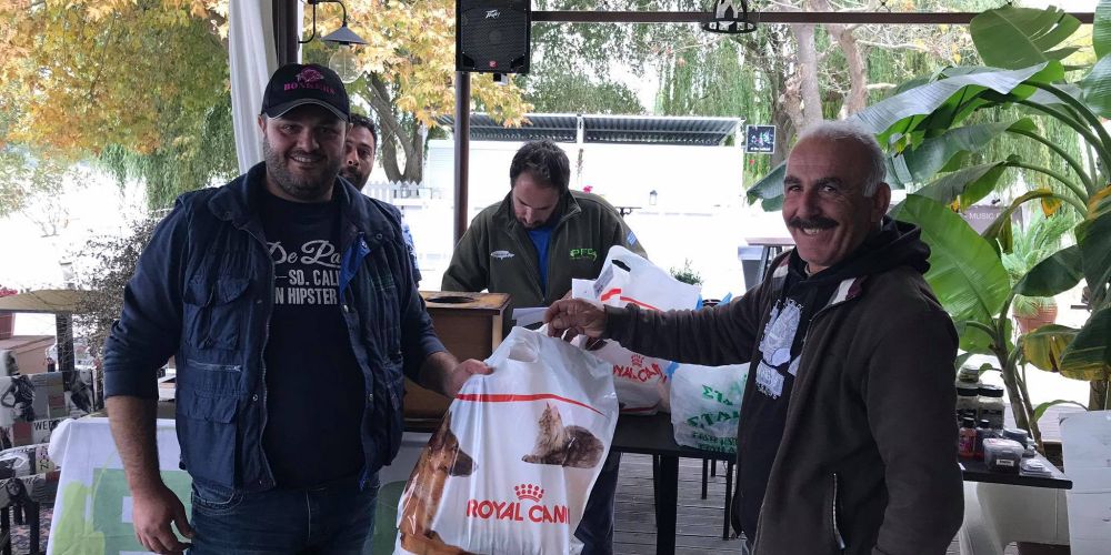 44532880 311335969686777 6070038495882117120 n