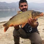 44532960 311329709687403 993226399974162432 n