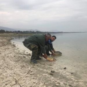 44545763 311328249687549 9084586864538550272 n