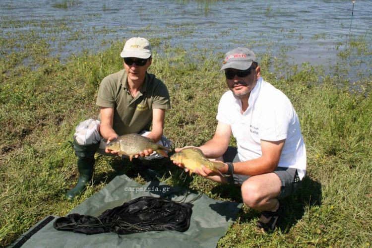 13001248 1372579216100882 8470485256107053798 n