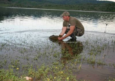 13001267 1372578849434252 8179531644904932959 n