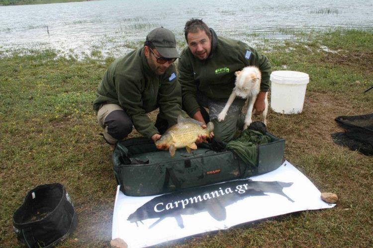 13006619 1372580209434116 2515853487413818774 n