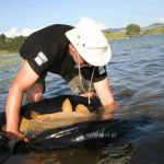 13043581 1372579919434145 4537397191927374260 n