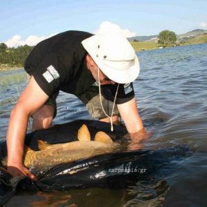 13043581 1372579919434145 4537397191927374260 n