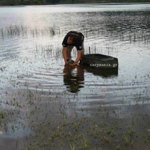 13043653 1372579146100889 3750305068287679509 n