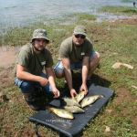 13051752 1372579572767513 3020426781810361842 n