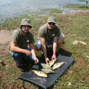 13051752 1372579572767513 3020426781810361842 n