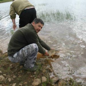 13051770 1372579832767487 8543104383886423678 n