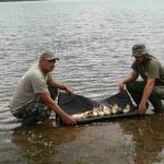 13051777 1372580002767470 6126059215083854264 n