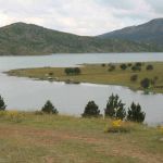 13062142 1372578732767597 5678803687486336781 n