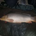 44546762 311328133020894 3646513928218869760 n