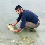 44549820 311329776354063 5381244510334353408 n