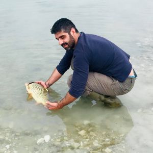 44549820 311329776354063 5381244510334353408 n