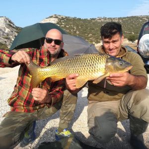 44559128 311329039687470 8730804086175170560 n