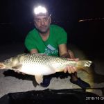 44564538 311486989671675 7441022074291748864 n