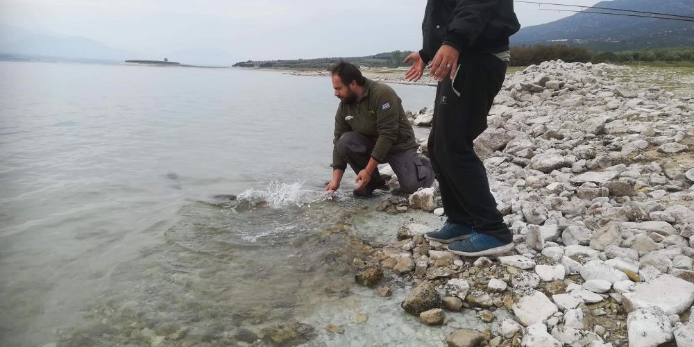 44583350 311329659687408 1673946568559951872 n