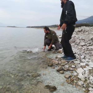 44583350 311329659687408 1673946568559951872 n