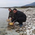 44587791 311329426354098 7840298847061409792 n