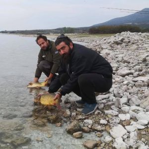 44587791 311329426354098 7840298847061409792 n