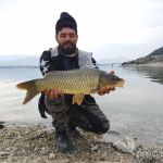 44603361 311487106338330 4448338658289778688 n