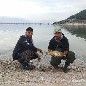 44633190 311487123004995 3638410823874904064 n