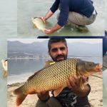 44755989 314205266066514 2738258186271195136 n