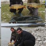 44769074 314205629399811 1356250534914293760 n