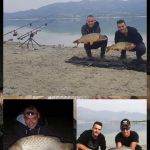 44779549 314205562733151 4204891025665163264 n