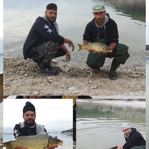 44840884 314205652733142 1690169355821645824 n