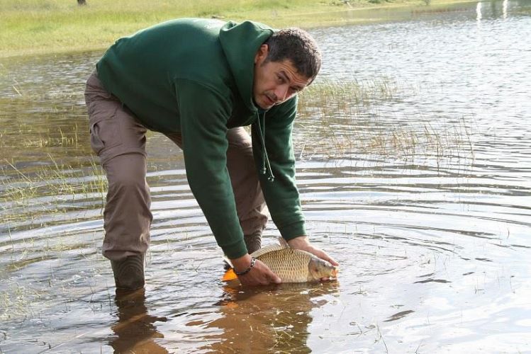 12805853 1372588742766596 6063874407243343747 n