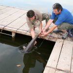 12998350 1372590226099781 4177409927211353681 o