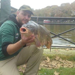 12998574 1372584939433643 8118525192719722785 n